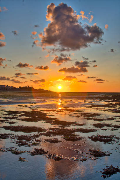istock dramatic sunset / waterfront / beach / beauty in nature 1366630474