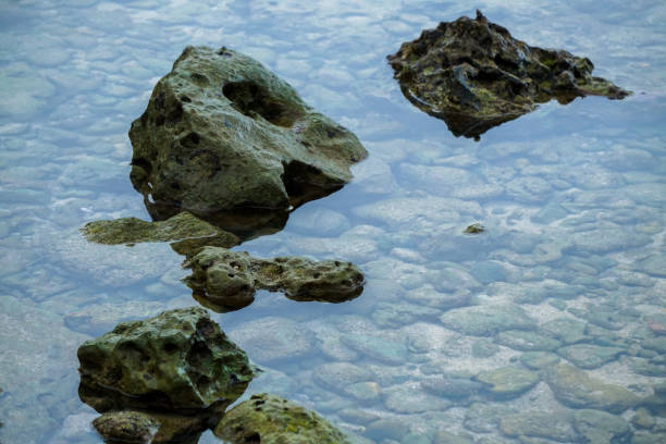 istock Rocks that are inundated by sea water at low tide 1366630579