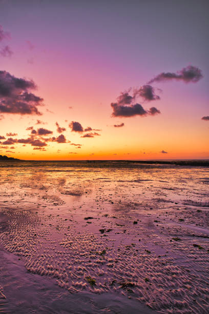 istock dramatic sunset / waterfront / beach / beauty in nature 1366631537