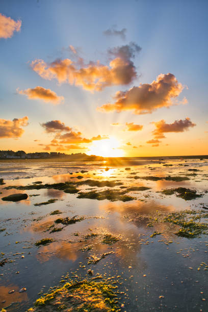 istock dramatic sunset / waterfront / beach / beauty in nature 1366631662