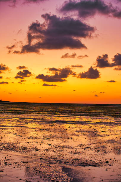istock dramatic sunset / waterfront / beach / beauty in nature 1366631716