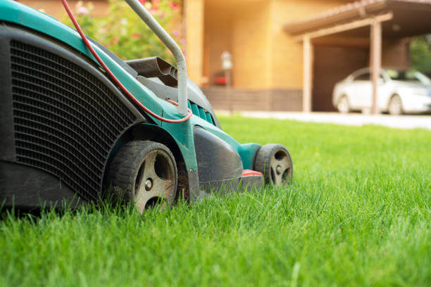 istock Lawn mover on green grass in front og brick house 1366631767