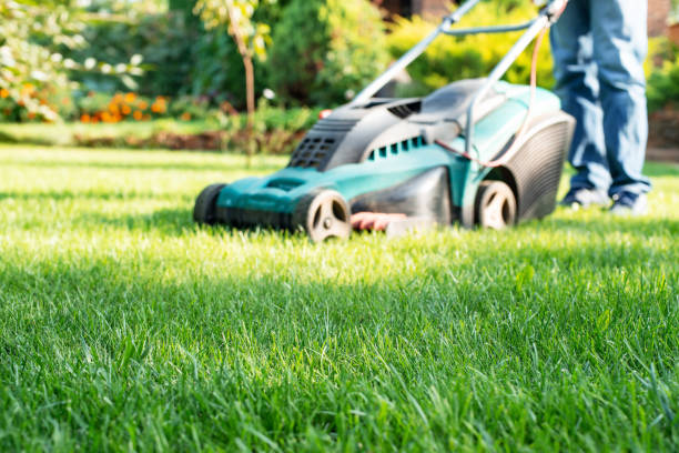 istock Man pushing lawn mower. Lawn care background, place for text 1366631792