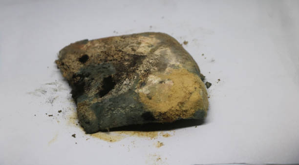 istock Moldy bread. Toast slices 1366632385