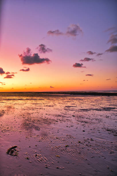 istock dramatic sunset / waterfront / beach / beauty in nature 1366633043