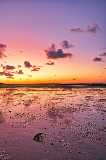 istock dramatic sunset / waterfront / beach / beauty in nature 1366633106
