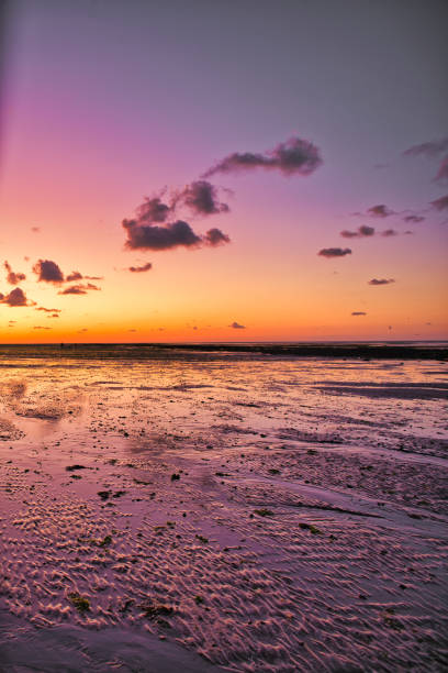 istock dramatic sunset / waterfront / beach / beauty in nature 1366633459