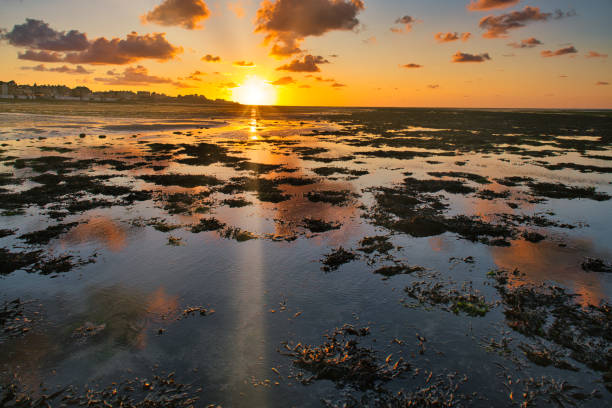 istock dramatic sunset / waterfront / beach / beauty in nature 1366633684