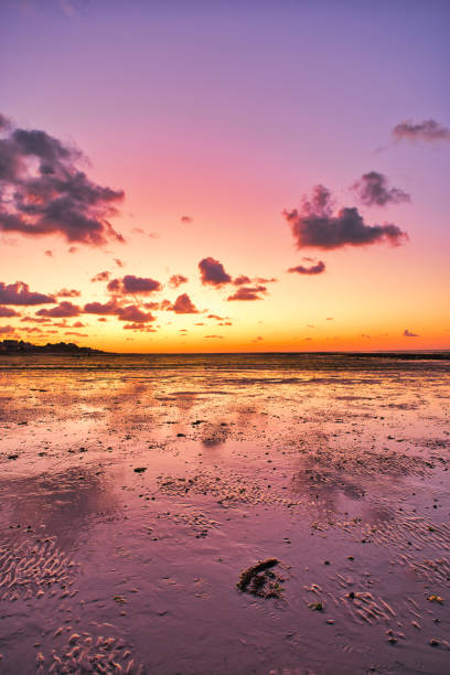 istock dramatic sunset / waterfront / beach / beauty in nature 1366633816
