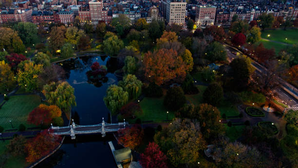 istock Fall Colors in Boston Public Garden - Aerial 1366634677