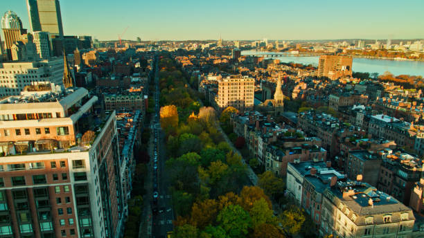 istock Drone Flight Over Commonwealth Avenue in Boston at Sunrise 1366634802
