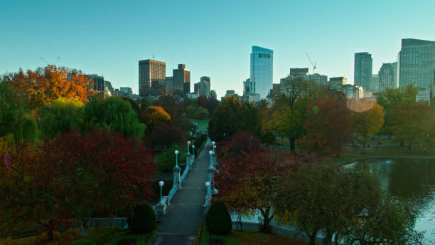 istock Sunlight on Autumnal Trees in Boston Common - Aerial 1366634816