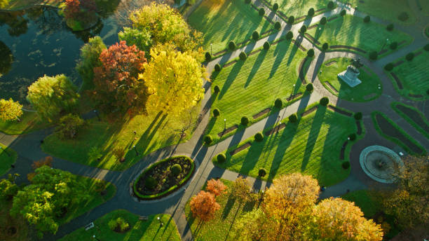 Drone shot of Boston Common at sunrise on a sunny morning in Fall. \n   \nAuthorization was obtained from the FAA for this operation in restricted airspace.