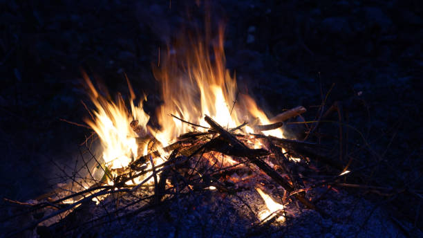 lagerfeuer brennendes holz in einer feuerstelle während einer gartenaufräumaktion in der nähe von bar, montenegro. - fire pit fire camping burning stock-fotos und bilder