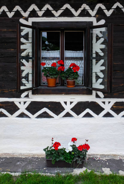 istock flowers in the window 1366639877