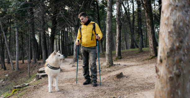 istock man trekking in the forest with his dog 1366642620