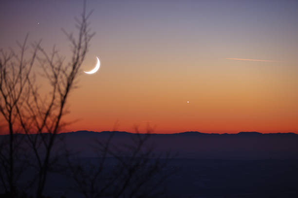 istock Tree silhouettes, stars and Moon on a vivid sky. 1366643885