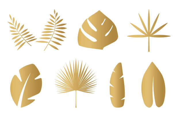 istock set of golden palm leaves 1366643938