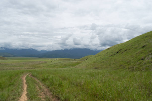 istock Colombian beauty in a landscape 1366647428