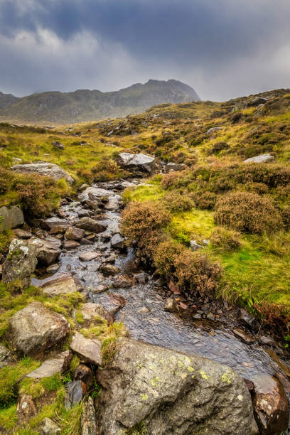 istock Snowdonia National Park 1366648070
