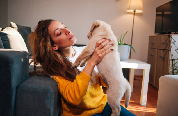istock Happiness is a warm puppy 1366648138
