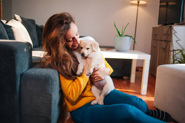 istock Happiness is a warm puppy 1366648186
