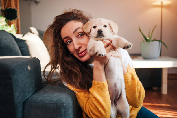 istock Happiness is a warm puppy 1366648285