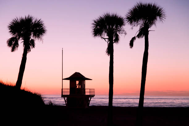 am strand - city of sunrise sunrise tree sky stock-fotos und bilder
