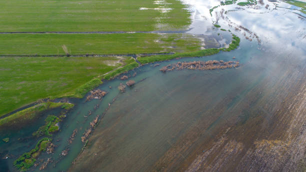 istock The flood river in an agricultural plain 1366651369