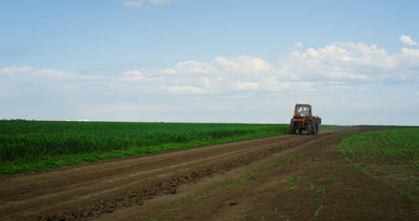 field tractor plowing cultivation in agriculture nature landscape. farm concept. - barley grass seedling green imagens e fotografias de stock