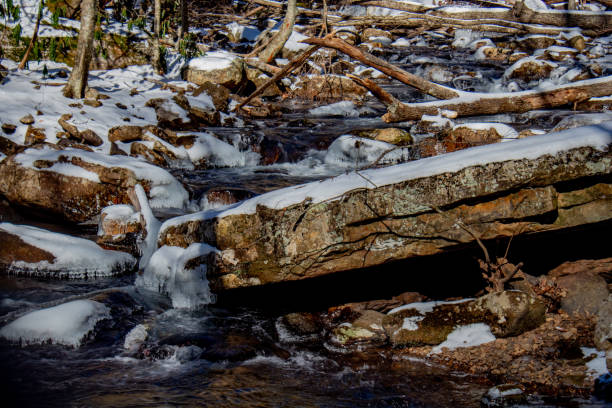 istock Snowy creek in the Appalachian mountains 1366654450