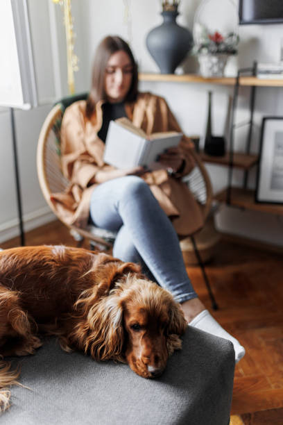 istock Weekend relaxation with good book and pet dog. 1366654470