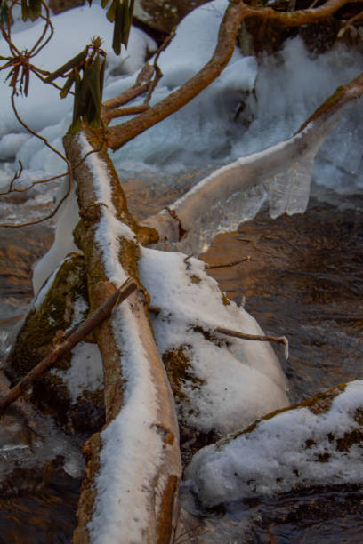 istock Snowy creek in the Appalachian mountains 1366654750