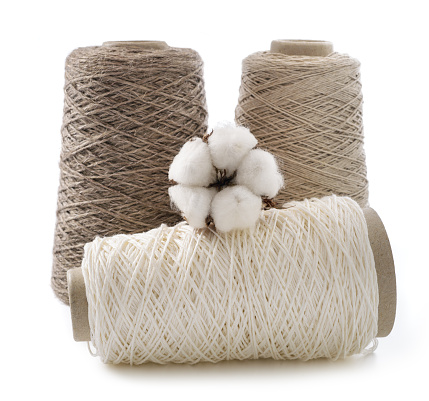 Bobbins of yarn with cotton flower isolated on  white background.