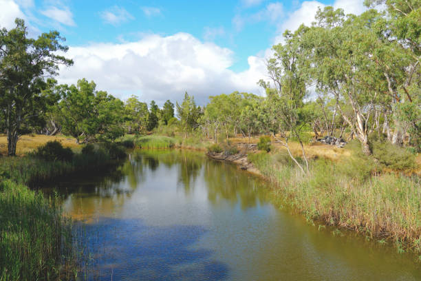 istock Horsham,  Victoria, Australia 1366657991