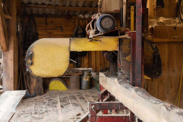 istock The process of processing pine boards on the old sawmill equipment. 1366658119