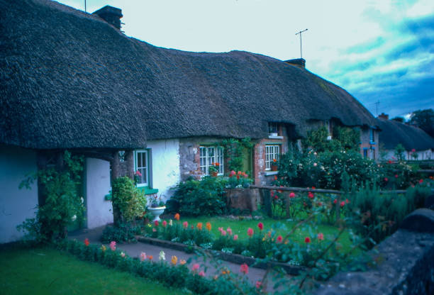 Irish traditional cottage house in Adare Adare, Ireland - 30 September, 1986: Adare is a small village in County Limerick, Ireland,Architectural forms include the thatched cottages near the entrance to Adare Manor. republic of ireland photos stock pictures, royalty-free photos & images