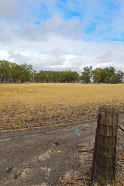 istock Horsham,  Victoria, Australia 1366659580
