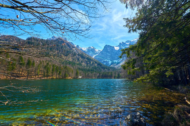 vorderer langbathsee lake in alps mountains, austria. beautiful spring landscape. - spring forest scenics reflection imagens e fotografias de stock
