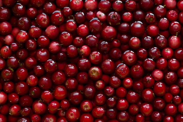istock placer on the surface of cranberries, smooth in water 1366660849