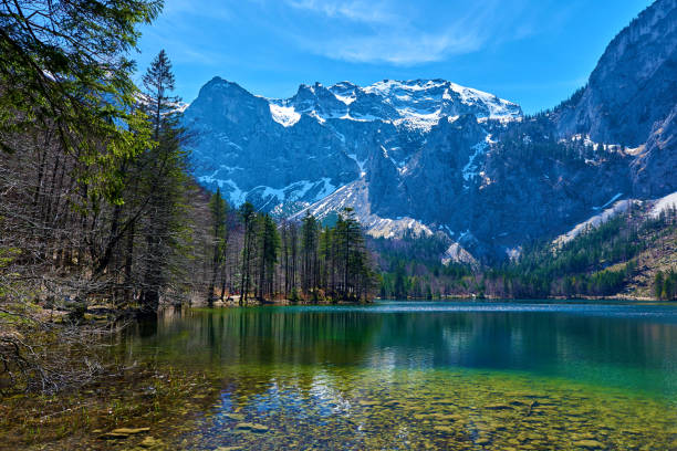 istock Hinterer Langbathsee lake in Alps mountains, Austria. Beautiful spring landscape. 1366660936