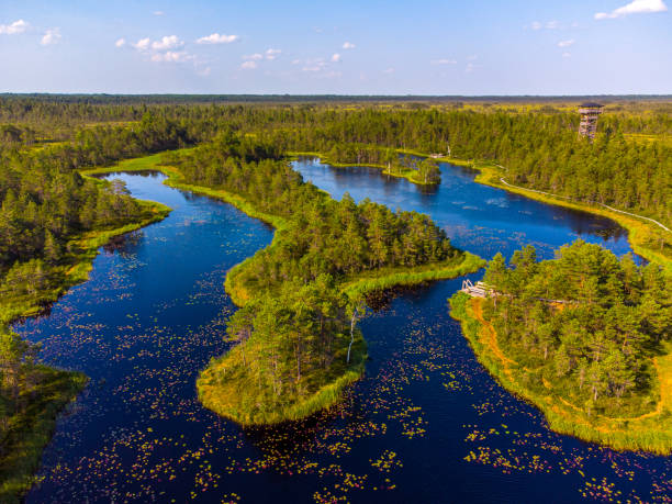 Bog lakes bog lakes estonia stock pictures, royalty-free photos & images