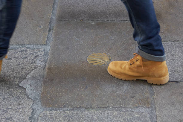 istock Camel-colored boot stepping on the ground near a shell 1366664089