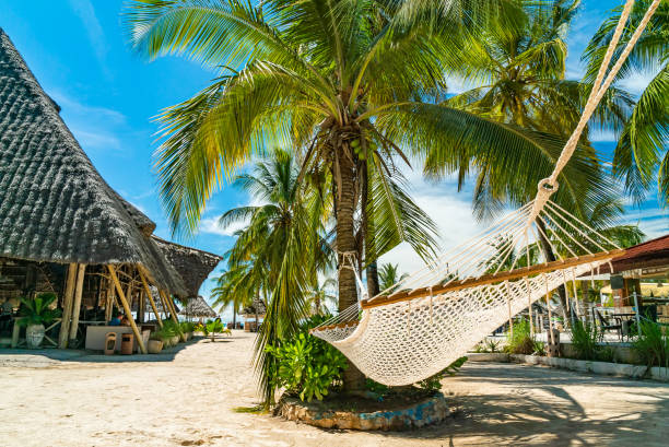 restaurant auf dem sand mit palmen und hängematte. sansibar, tansania - zanzibar stock-fotos und bilder