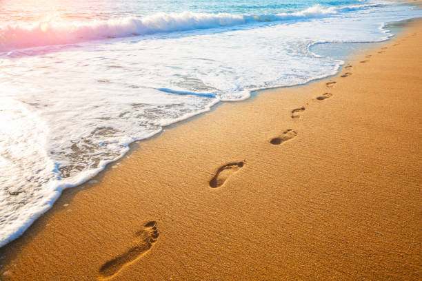 istock footprints on  tropical beach and beautiful  wave 1366665157