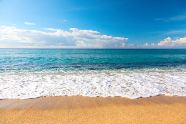 istock beautiful beach and tropical sea 1366665260