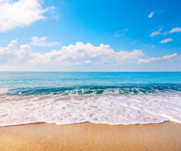 istock beautiful beach and tropical sea 1366665317