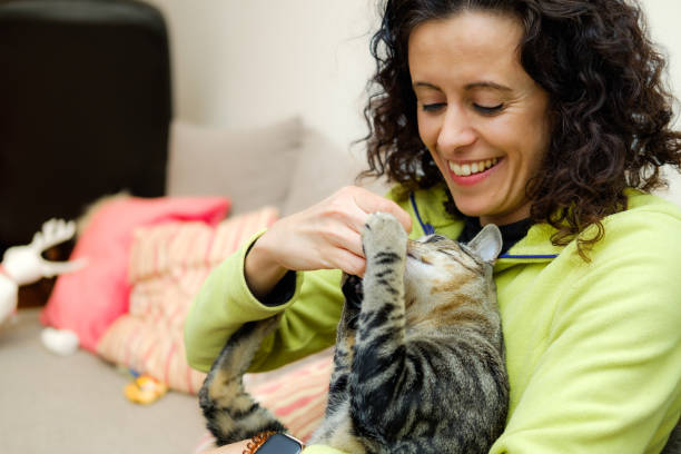 istock Woman playing with her cat 1366670884