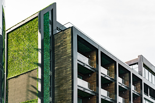 Vertical green garden installed on the facade of stylish black on a building with horizontal battens. Glass balconies. Environment. Grass. Futuristic architecture. Design. Ecological. Solution. Eco