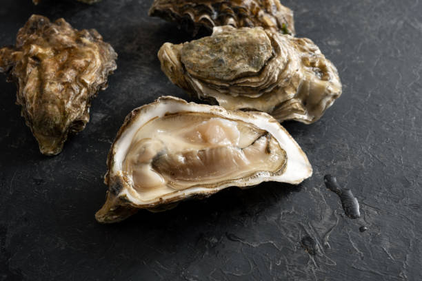 istock Fresh oysters, one is open, dark gray slate background with copy space, close up shot, selected focus 1366681762